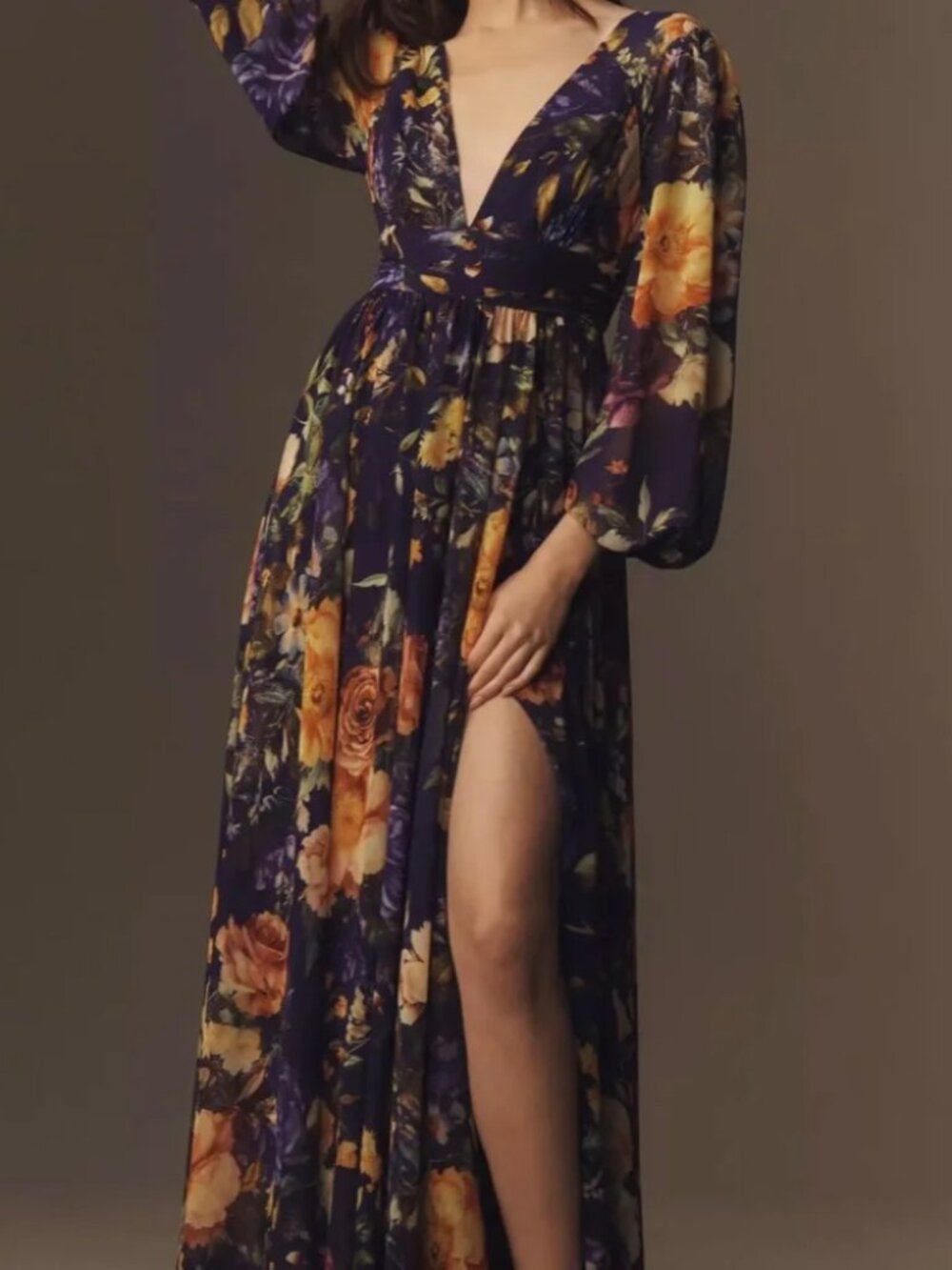 BHLDN Long Sleeve V-Neck Sheer Maxi Dress Size 4